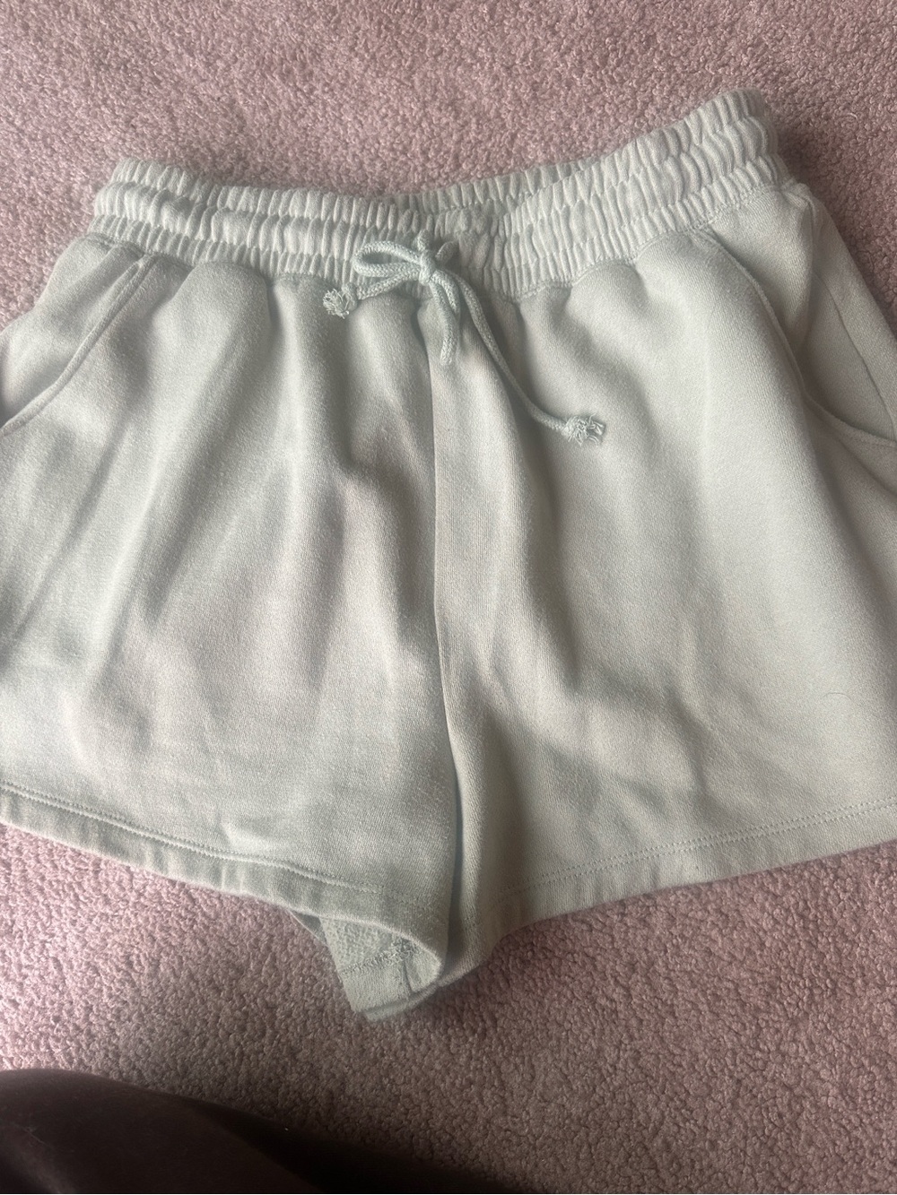 Abercrombie and Fitch soft collection fleece green shorts in small